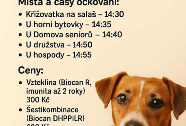 Vakcinace psů proti vzteklině