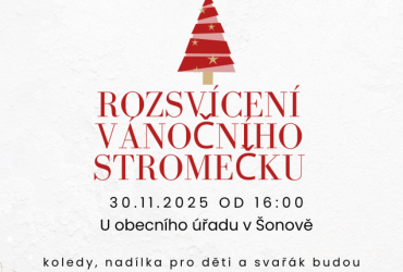 Rozsvícení stromečku