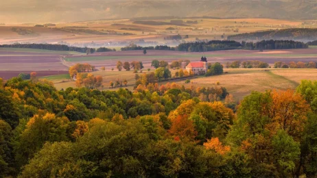 nový článek